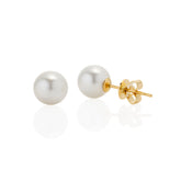 18ct Yellow Gold South Sea Pearl Stud Earrings