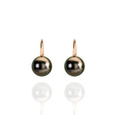 Palomino Tahitian Pearl 18ct Round Earrings