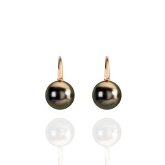 Palomino Tahitian Pearl 18ct Round Earrings