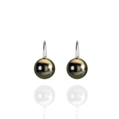 Palomino Tahitian Pearl 18ct Round Earrings