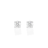 Palomino Solitaire Diamond Stud Earrings in 18 ct White Gold 0.50 ct