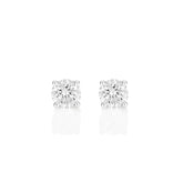 Palomino Solitaire Diamond Stud Earrings in 18 ct White Gold 0.60 ct