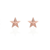 Palomino Star 9ct Stud Earrings