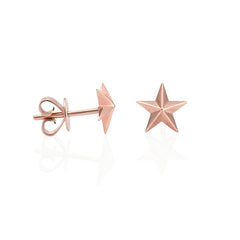 Palomino Star 9ct Stud Earrings